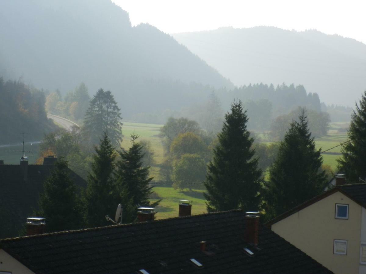 Urseetalblick Wg 7 Apartment Lenzkirch Bagian luar foto